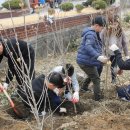 백운초등학교 이미지