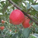 두학농장 이미지