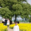 소담기술