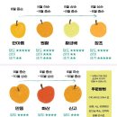 화산농원 이미지