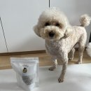 디저트댕 이미지