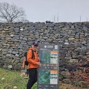 수영4리 이미지