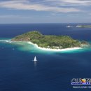 파라다이스D 이미지