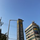 어류도감 | 통영 자연산 잡어회 마곡 어류도감