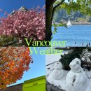 (주)지지엔터테인먼트 | 워홀러가 말해주는 캐나다 밴쿠버 사계절 날씨 총정리 (옷차림 Tip)