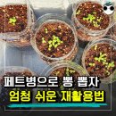 “솔직히 너무 좋잖아” 집에 버려진 페트병 200% 활용할 수 있는 꿀팁 이미지