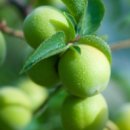 강남함소아 이미지