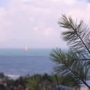 호텔야자 해운대점 이미지