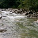 들꽃향기 펜션 이미지