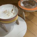 꼬꼬미 | 강아지배변매트 꼬꼬미 국산 투명매트 사용 후기