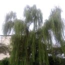 유앤아이부동산중개사무소 이미지