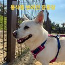 시민근린공원 건너편 이미지