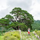 솔고개로 이미지