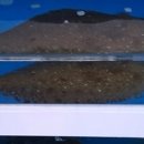 해신환경 이미지