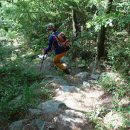 모전목장 이미지