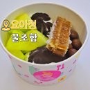 요거트아이스크림의정석 이미지