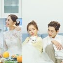 베니 카카오 검색결과