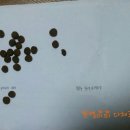 세명사료 이미지