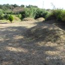 이평면사무소 이미지