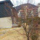 반송재로 이미지