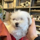 동인천의료기 이미지