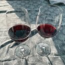 대명노르웨이숲 | [남양주 펜션] 대명노르웨이숲펜션 찐-후기