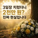 보람농수산물 | 3일장에 2천만원? (실제 경험한 장례비용 폭탄 막는 보람상조 활용법)