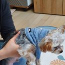 봉실이 옷장 이미지