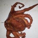 화성락실내바다낚시터 이미지