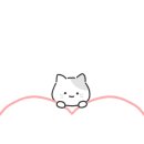 고릴라쿡