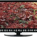 완도상회 이미지