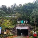 상운정비 | 폐광에서 재탄생한 충주 활옥동굴 탐방기 기대하지않고 갔다가 놀라고온 충주여행지