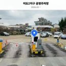 파란와사비
