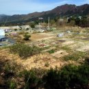 생명예찬1 이미지