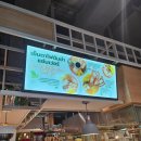 한계 1 한천여자경로당 | 치앙마이 여행 3일차, 치앙라이 일일투어 후기(매카짠 온천/ 싱하목장/ 백색사원/ 청색사원/ 왓 후어이...