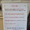 화이트큐브24