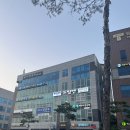 세무법인드림앤 - 서초구 서초중앙로24길 27 | 세무법인드림앤