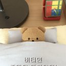 세종모터스 이미지