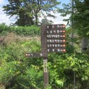 상주 금흔리 이부곡토성 이미지