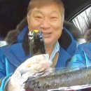 뚱채김밥 - 달성군 테크노상업로 52 | 뚱채김밥
