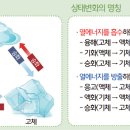 아톰센터