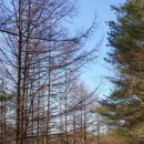 청송오토캠핑장 이미지