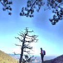 금란정 | 제 2265차 산행 삼척 동해 두타산 쉰움산