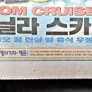 스카이비디오