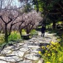 걸매생태공원 이미지