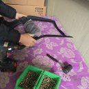 성북동행정복지센터 이미지