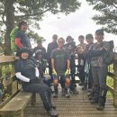 7월 18일 Dome Forest Walkway 이미지