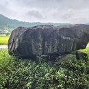 월성농산 - 부산진구 백양순환로10번길 13-1 | 월성농산