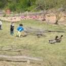 순성어린이집 이미지