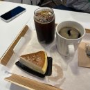 오델리스 이미지